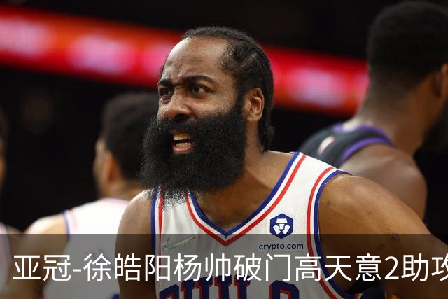亚冠-徐皓阳杨帅破门高天意2助攻 申花2-1淡滨尼流浪者